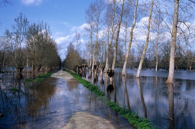 mp117-chemin-inonde-marais-poitevin-e64ca1T400.jpg