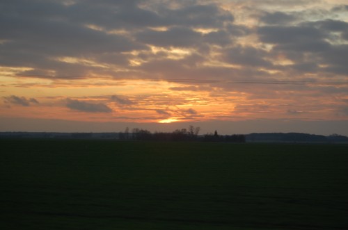 DSC_0236.JPG