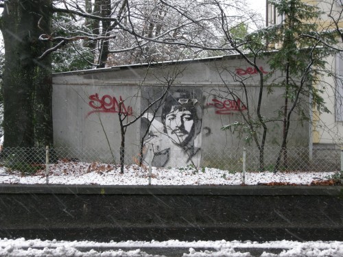 ringo.jpg