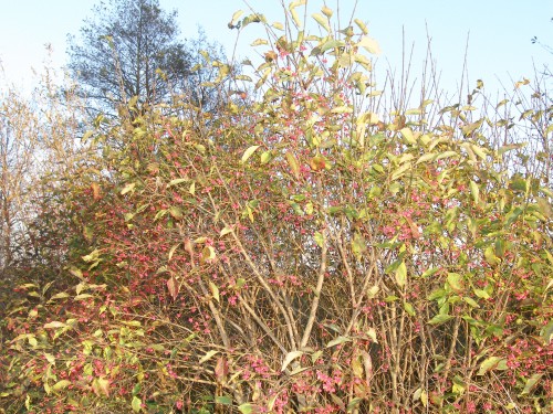 PA260020.JPG