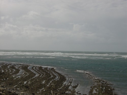 DSC04671.JPG
