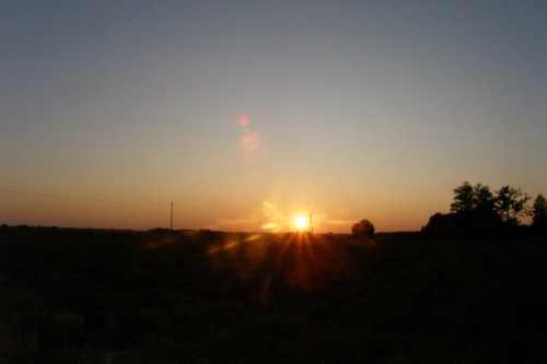 P9010011.JPG