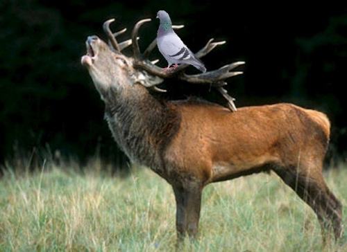 200908261615_zoom.jpg