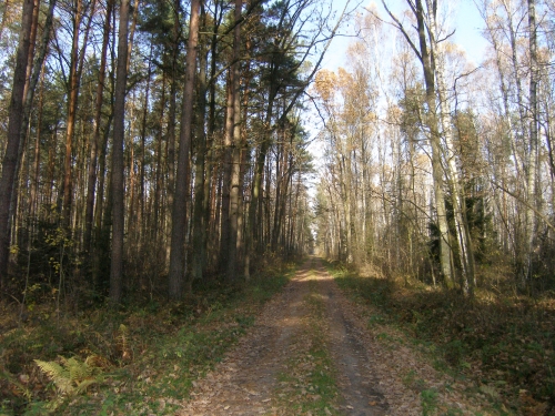 PB020023.JPG