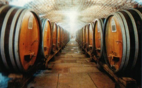 tonneaux vin.jpg
