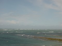 DSC04669.JPG
